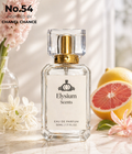 Elysium Scents No.54 Inspired by Chanel Chance